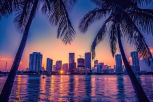 When you're looking for a Miami seo agency, you're searching for more than just website rankings.