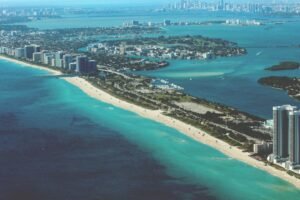 miami seo