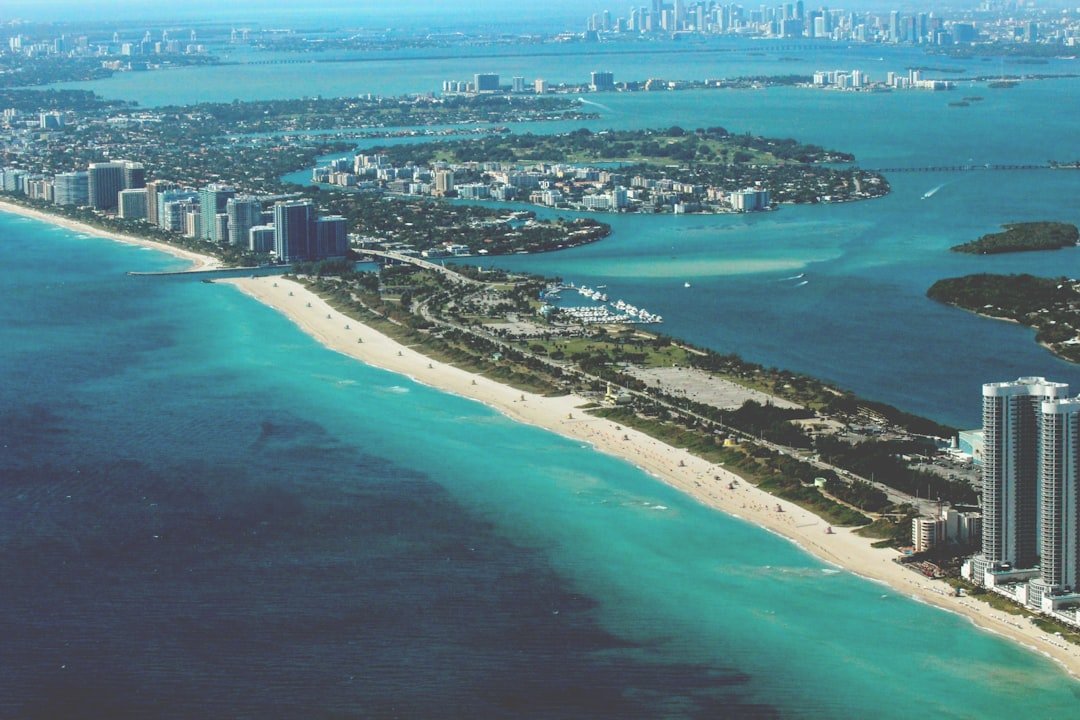 miami seo