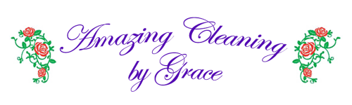 Amazing Cleaning by Grace Logo